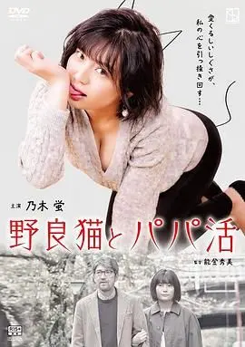 《野猫少女》惊爆！原来是藏着楼兰传说的绝世狗血！